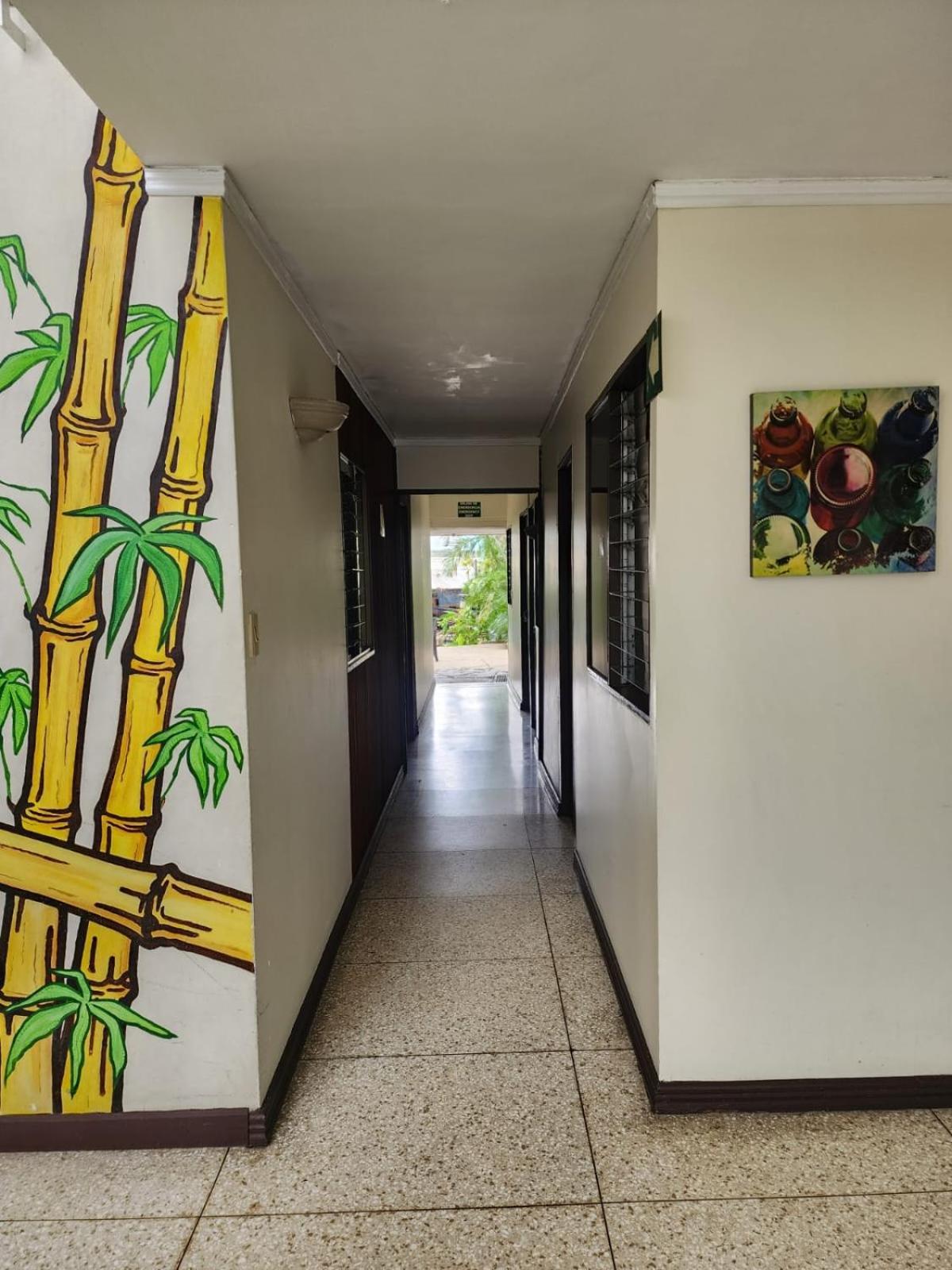 Costa Rica Backpackers Hostel San Jose  Exterior foto