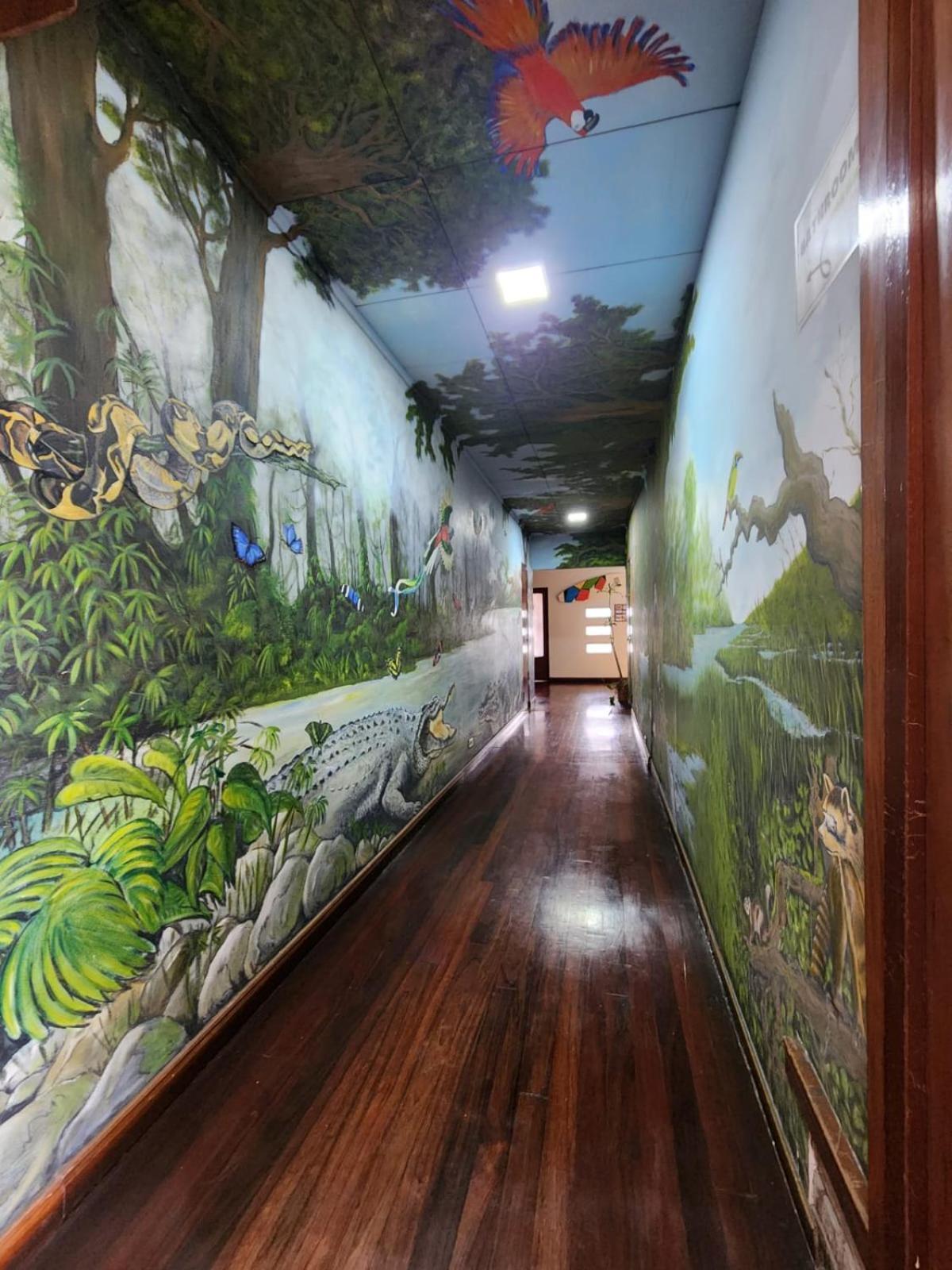 Costa Rica Backpackers Hostel San Jose  Exterior foto